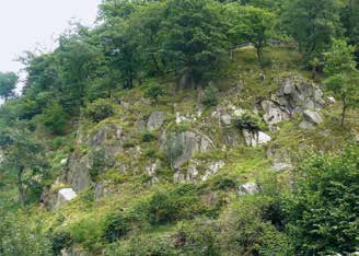 Schutthalden, Felsen und Felskuppen Silikatfelsen mit Felsspaltenvegetation FFH-Lebensraumtyp 8220 Charakteristisch für diesen Lebensraumtyp sind natürliche Felsen, die wegen ihrer Größe und der