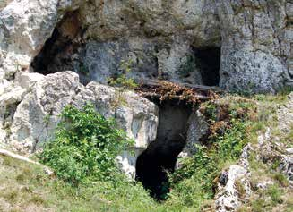 Höhlen und Balmen Höhlen und Balmen Höhlen sind das Ergebnis einer als Verkarstung bezeichneten Auflösung von Gestein im Untergrund.