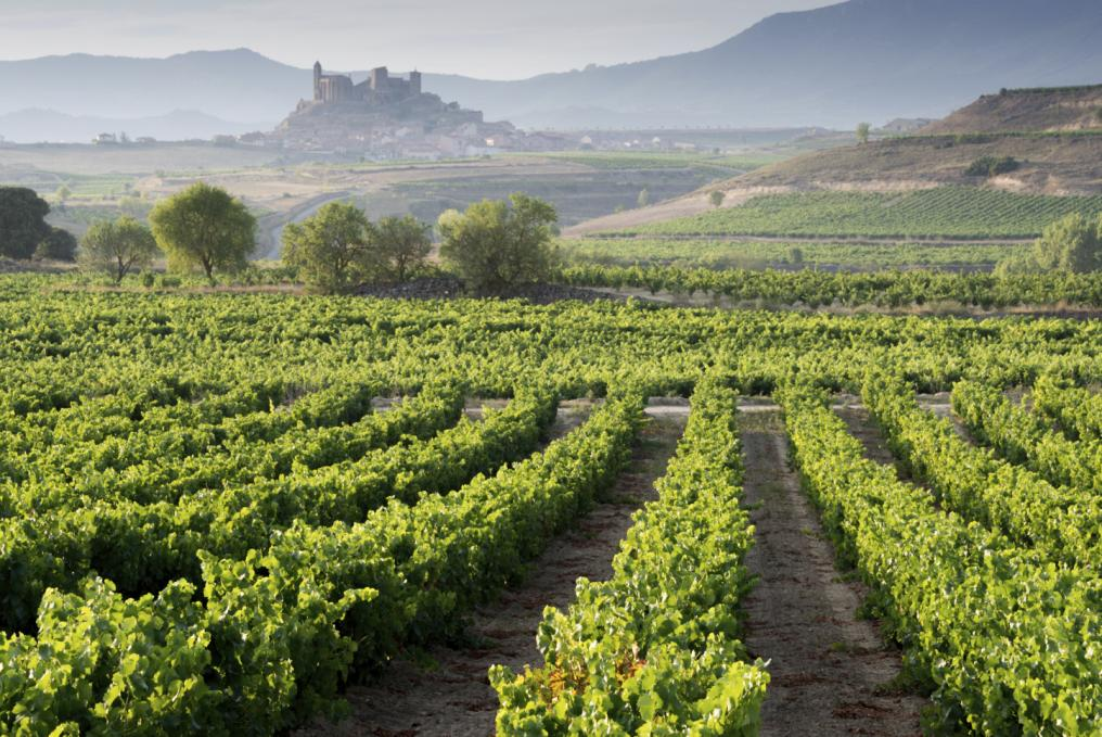 La Rioja La Rioja ist das bekannteste Weinanbaugebiet in ganz Spanien und ein Mekka für Genießer. Besuchen Sie mit uns eine der Bodegas und lassen Sie sich von einer Besichtigung inkl.