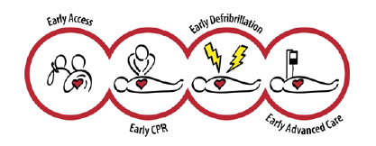 Die Überlebenskette Der Begriff Überlebenskette (Chain of Survival) wurde als Motto während der Konferenz Citizen CPR 1988 geprägt.