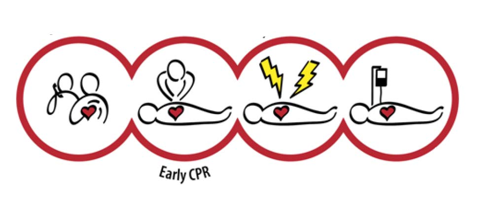 Frühzeitige Herzmassage Um maximale Wirksamkeit zu haben, muss die Herzmassage unmittelbar nach dem Kollaps des Opfers durchgeführt werden!