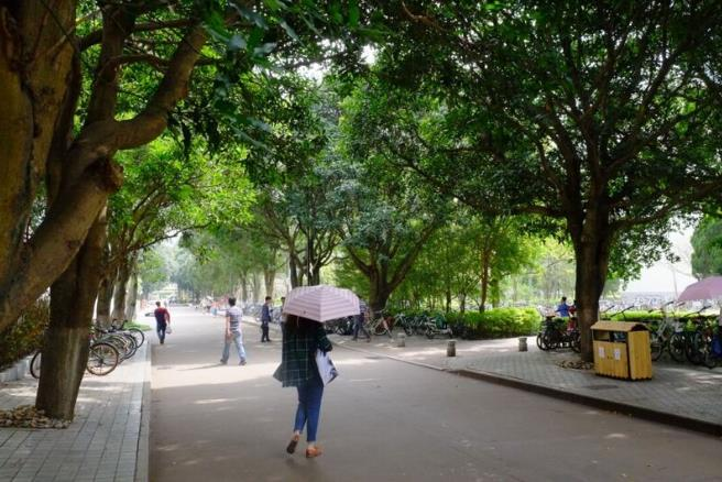 Xiamen University Baumalleen schützen Fahrradund Fußgänger vor