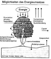 Transport- und Reaktionsmittel Energiedissipation als Aufteilung (Partitionierung) der