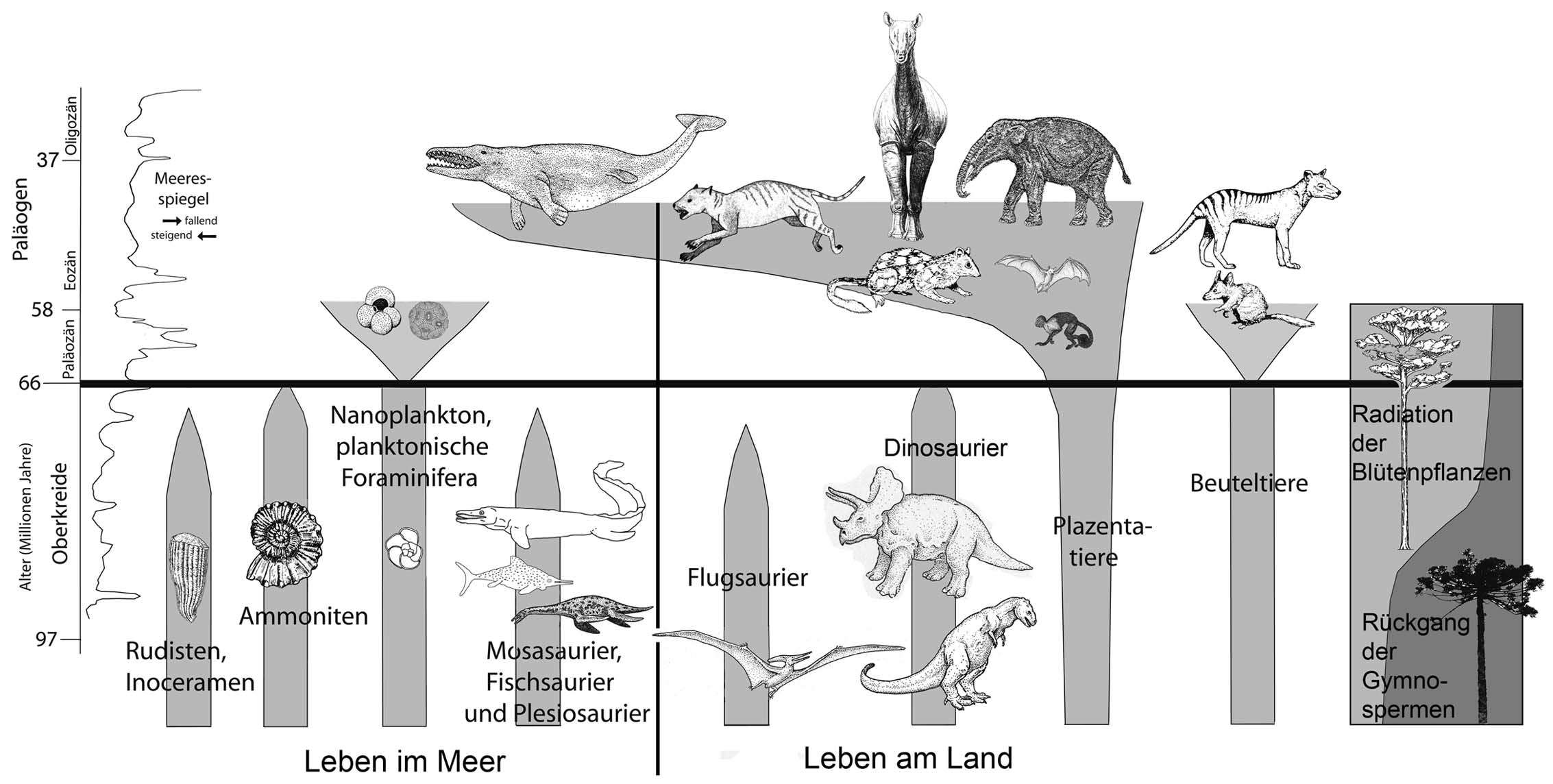 Evolution und Sterben der Dinosaurier  PDF