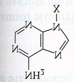 H - RNA hat Uracil