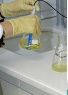 ätherische Öle standardisiert? Wasserdampfdestillation: Schonendes und extraktionsfreies Verfahren.