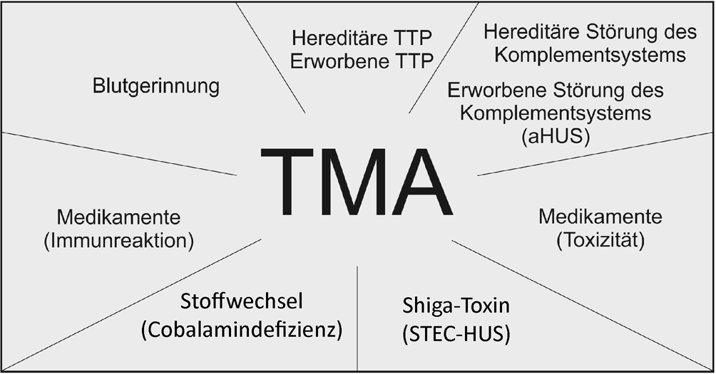 Abb. 1 8 Die wichtigsten Ursachen einer primären thrombotischen Mikroangiopathie (TMA).