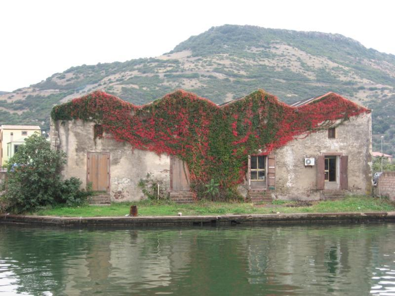 auf dieser Insel. Sardinien, auch die Smaragdinsel genannt, mit den roten Felsen, den weißen Stränden und dem türkisfarbenen Wasser.