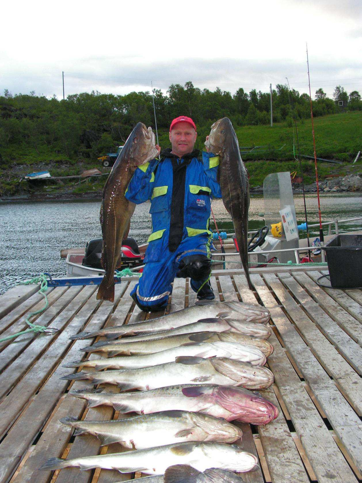 Ist kein Märchen, die zwei haben wir mit einer 40 Gramm Köderfischrute gefangen, war einer der besten Drills die ich je in Norge erleben durfte. Solche Strecken gibt s eben nur im Norden.