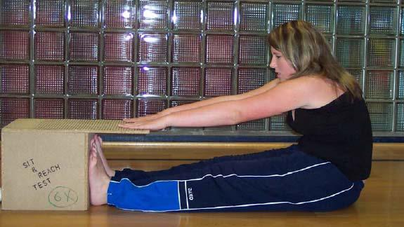 3.3 Sit and Reach / Stand and Reach Testziel Die Aufgabe dient der Überprüfung der Flexibilität (vorrangig die Beweglichkeit der Hüftgelenke und der unteren Wirbelsäule; Rumpfbeugefähigkeit).