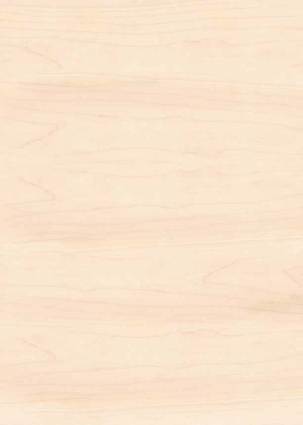 auf Meranti auf Meranti Spitzenqualität auf Knopfdruck! auf Meranti auf Meranti Kompletter Holzschutz in den schönsten Farben!