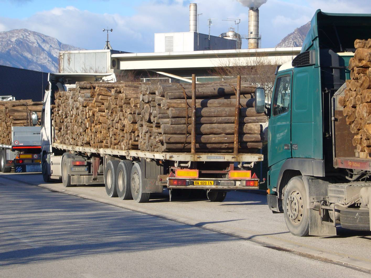 Holzimporte aus Südamerika