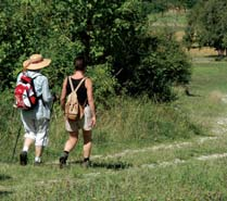 Ausflugsziele Freizeit Zahlreiche Aktivitäten und Sehenswürdigkeiten rund um den Campingplatz Walsheim sorgen für