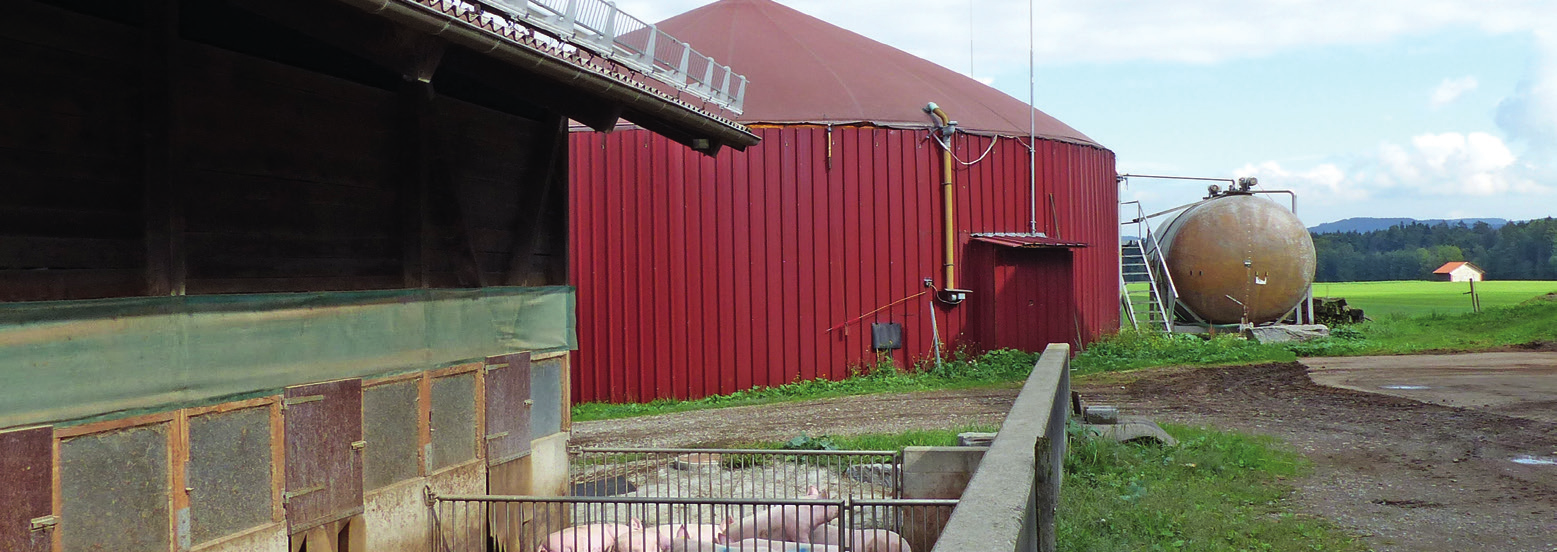 Josef Gemperle bewirtschaftet den Landwirtschaftsbetrieb in einer Betriebszweiggemeinschaft zusammen mit Partner Arnold Gemperle. Im 2007 erbauten Laufstall halten sie ca. 85 Milchkühe mit Aufzucht.