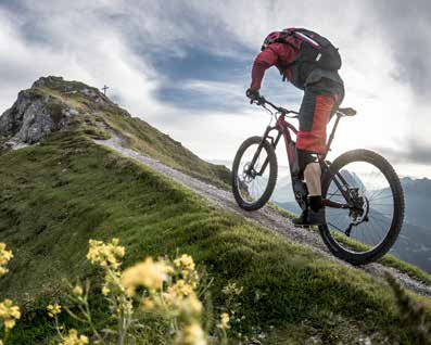 BESTE FREUNDE Der Viergelenk-Hinterbau, sein Fox DPS-Dämpfer und die spezielle E-Bike-Federgabel aus gleichem Hause bilden