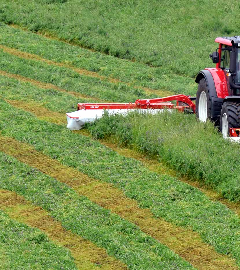 Minimale Verschmutzung Das Ernte-Zeitfenster optimal