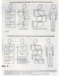 Fersenbelastung/Becken dorsal Beckenaufrichtung Rumpfaufrichtung thor.konvex HWS + Kopf dorsokranial ++ +++ + (+) ++ (-) ++ (+) (+) frontale Ebene: Beinbelastung th. konkavseitig Hüfte zur thor.