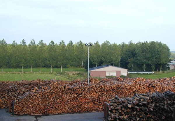 Praxiserfahrungen mit elektrischen Abscheidern für Holzfeuerungen ab 200 kw Von Reiner