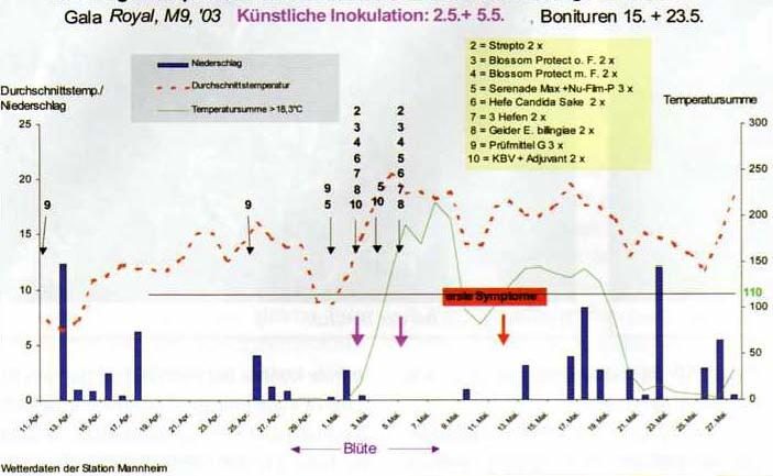 Temp. ( C); Niederschlag (mm); log E. amylovora/blüte Offene Blüten (%); EIP (%) Abbildung 12: Witterung und Spritztermine im Feuerbrandfreilandversuch 2006 in Kirschgartshausen (aus (27)).