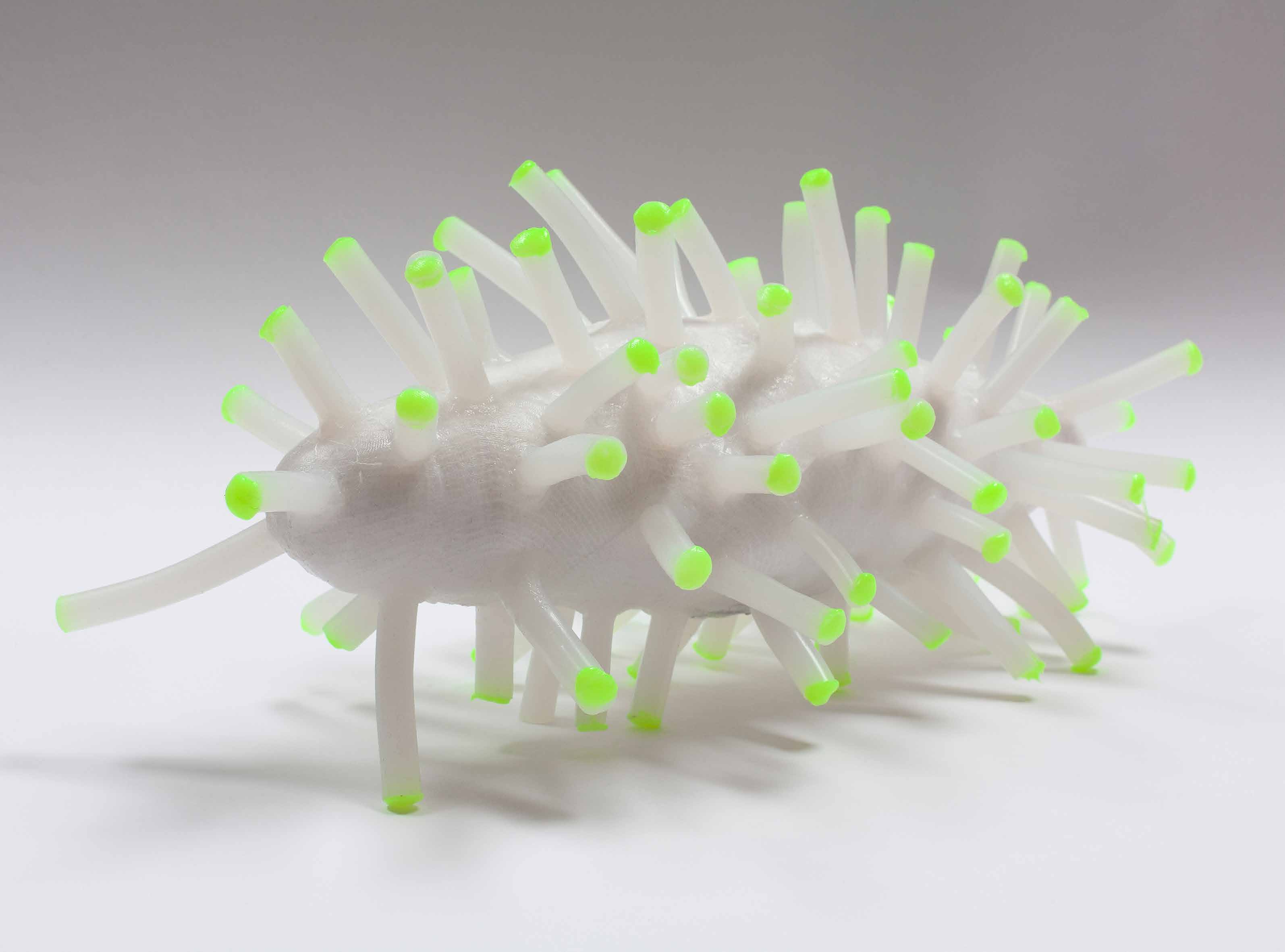 14 Lab Sweets (Small Beasts #1) 2014 Silikon, fluoreszierende