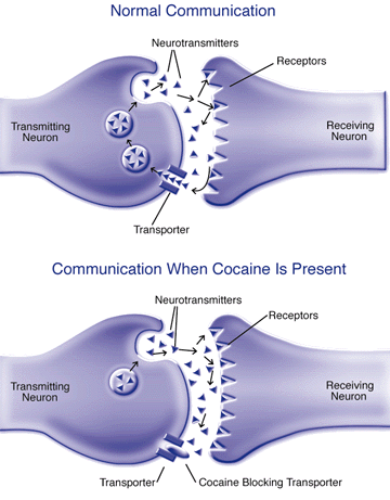 Kokain und Ritalin