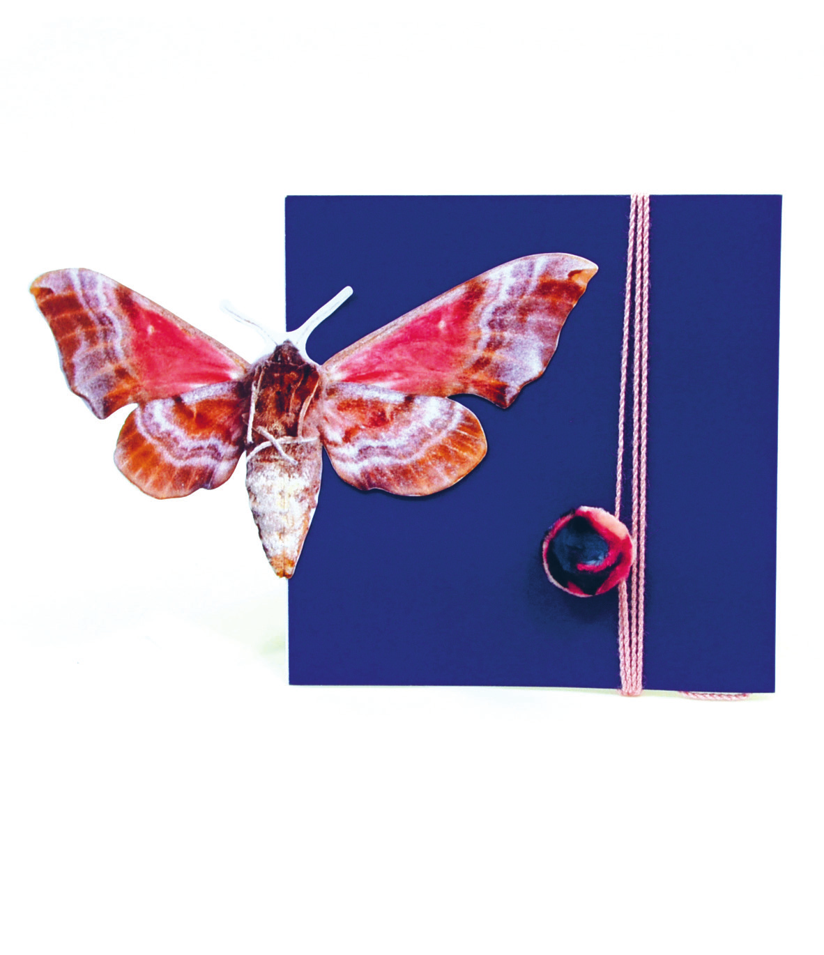 Schmetterlingskarte «farfalla» * Handgefertigte blaue Doppelkarte mit dem