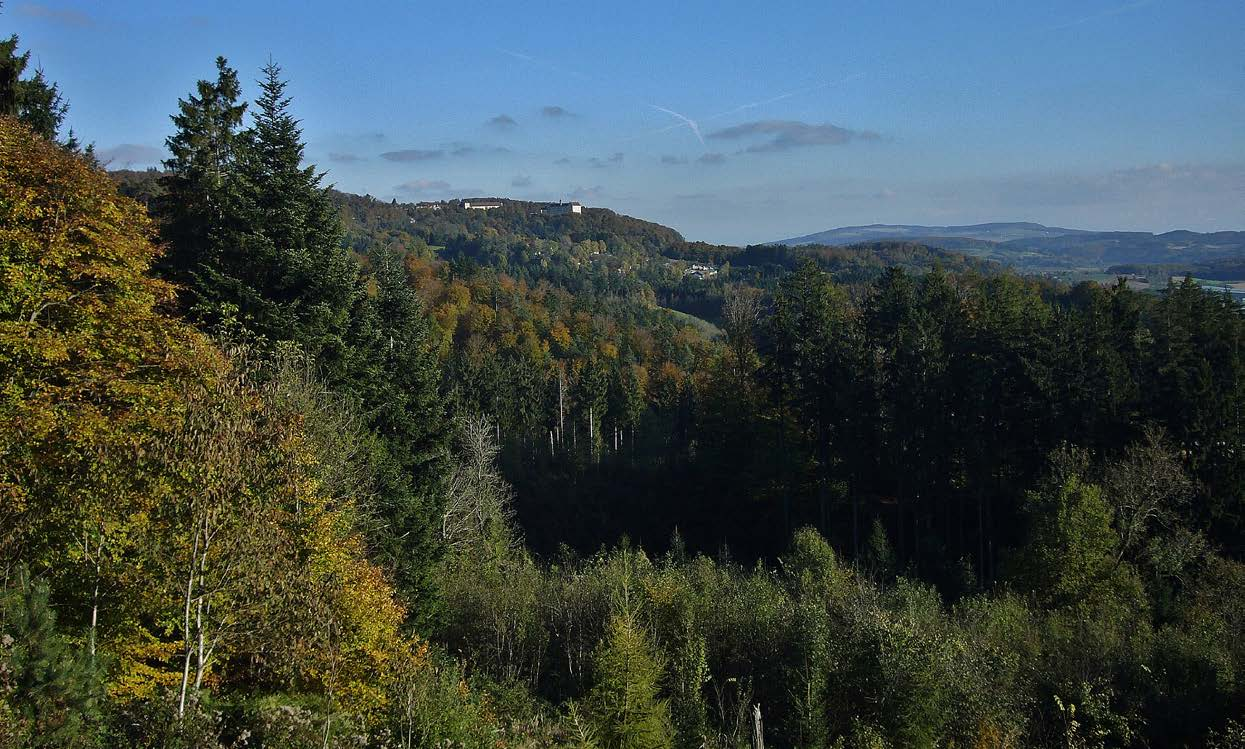 PFLEGE UND BEWIRTSCHAFTUNG DES WALDES IN EINER HAND Im Bodenseekreis ist das Forstamt im Landratsamt Ihr kompetenter Ansprechpartner für alle Fragen rund um den Wald.