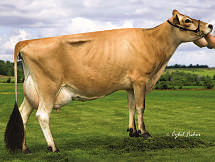 409606 Dutch Hollow motivation-pp Mutter: Dutch Hollow Zik Medley EX-90 Eclipes-P x Q Zik x Balance Golden-Oaks C Panic-PP-Red originalwerte usa aug 2012 e Milch lbs F-% F-lbs E-% E-lbs Exterieur