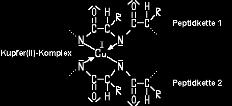 Gesamteiweiß Methode: z.b.