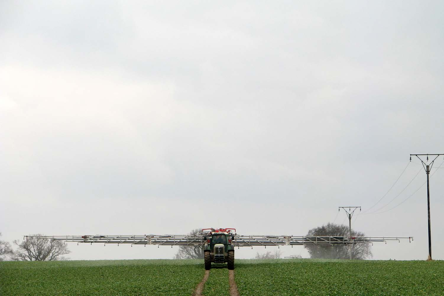 Sensorgestützte Düngung An offline algorithm for site-specific nitrogen fertilization of winter oilseed rape