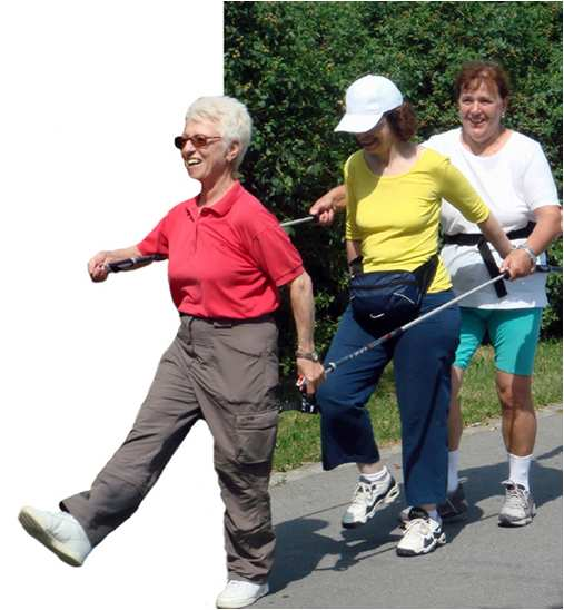 PASEO Building Policy Capacities for Health Promotion through Physical Activity among Sedentary Older People PASEO Bewegtes Altern in Wien