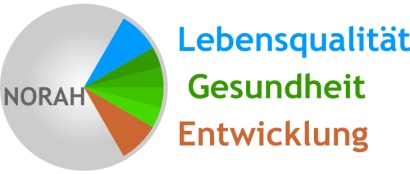 NORAH Noise-related annoyance, cognition and health Verkehrslärmwirkungen im Flughafenumfeld