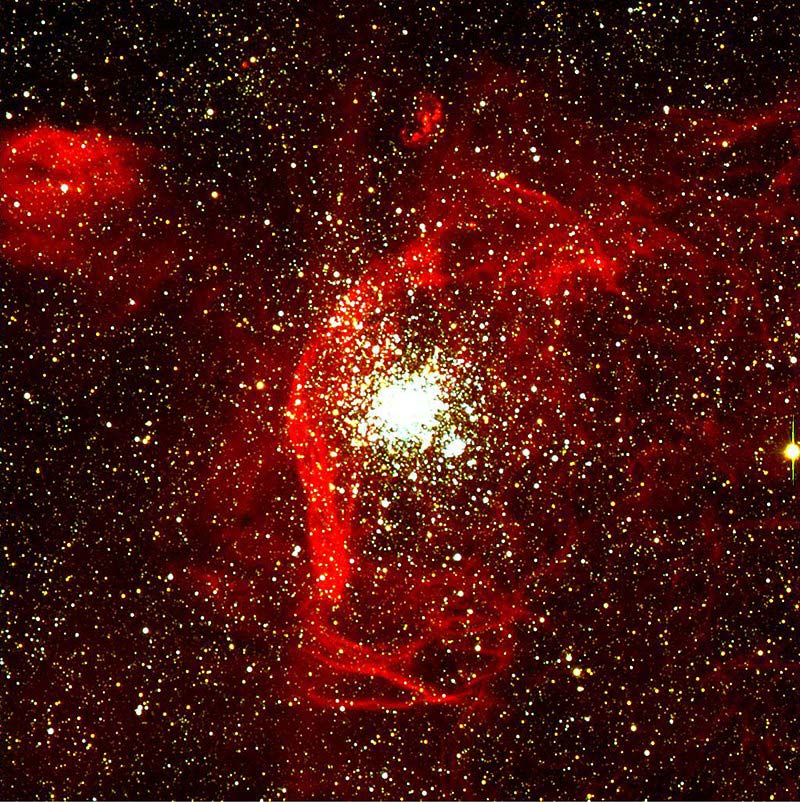 NGC 1850 in der Großen