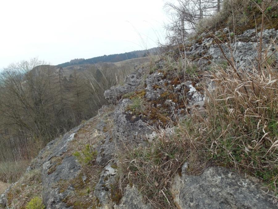 Herbergswände, Nordwestecke: Wertgebend für Felsen ist oft auch die Einbindung in die Umgebung und die Kontaktvegetation.