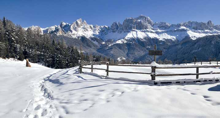 Quando la natura si riposa coprendosi con una soffice coltre bianca di neve, ha inizio la bellissima stagione invernale.