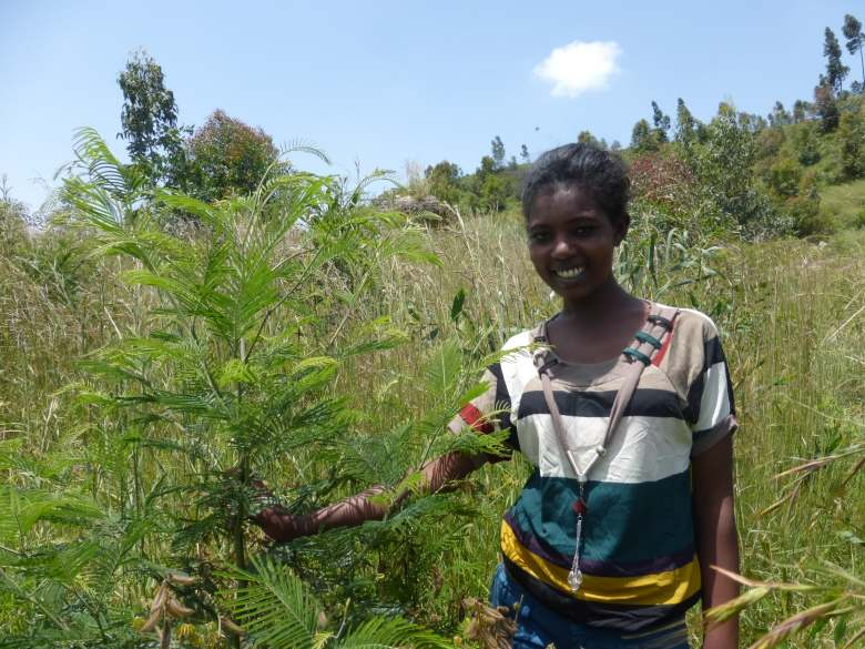 Stiftung Green Ethiopia Gemeinnützige Stiftung für Umwelt und Entwicklung in Äthiopien Jahresbericht 2013 Jeder Baum ist wertvoll, für Mensch und Natur, gleichzeitig auch Sinnbild für Wachstum und