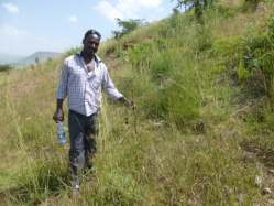 Tefo Weliso: am Sankalle Berg Gimbichu: neue Wasserquelle am