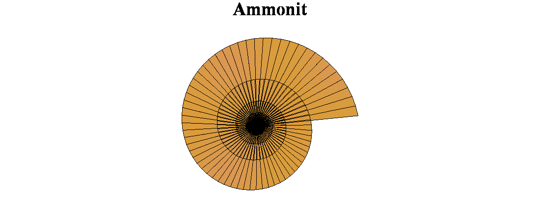 Das Ergebnis ist eine (diskret approxomierte)