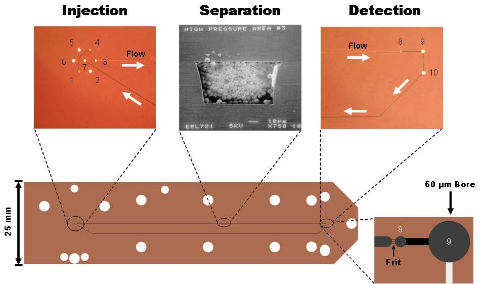 Experimental studies: Injection, separation, and on-chip UV-detection
