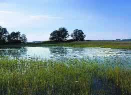 Naturschutz in der Land- und Forstwirtschaft 39 Neue Strategien für die Mitwelt Im Jahr 2005 wurde das Projekt zur Erstellung einer Strategie für den Natur- und Umweltschutz für Vorarlberg in Angriff