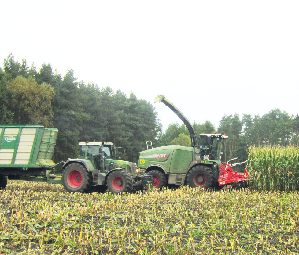 Durch das sehr kühle Frühjahr verspätet sich die Maisernte dieses Jahr jedoch allgemein, so die Fachberater der Landwirtschaftskammer Niedersachsen.
