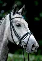 black/white/silver Beschläge: silber, gold, WB-XL Partly rolled double bridle with slim, exclusive browband like bridle Ashford crank noseband hook and stud Colours: black/silver, black/gold, antique