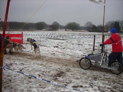 JF Hasselbach Ausflug zum Schlittenhunderennen Am 27.01.2007 fuhr die Jugendfeuerwehr zum ersten mal zu einem Schlittenhunderennen nach Liebenscheit (Westerwald).
