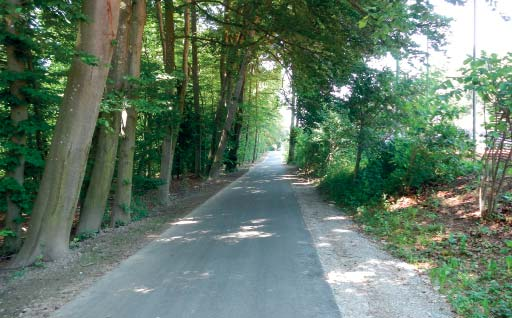 Fuss- und Velowegverbindung zwischen Thunplatz und Kalcheggweg Ausbau der