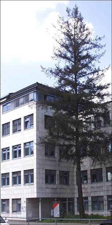 Die BFL-Gruppe Gründungsjahr: 1993 Am Standort Erlangen seit über 10 Jahren Übernahme der Plettac Mobile Radio GmbH (ehem.