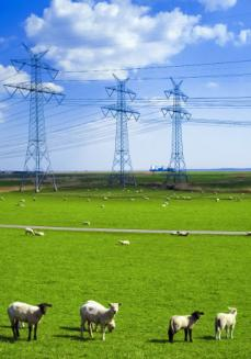 Übertragungskapazitäten Datenbasis: Szenariorahmen Erneuerbare (Wind/Solar) Wasserkraft AC und HGÜ Komponenten Kapazitäten Preise Verfügbarkeiten Reserveleistung