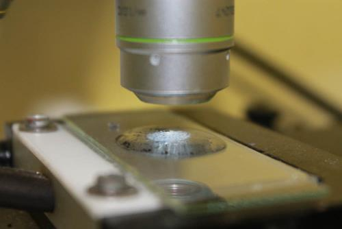 4 Schülerversuch Teilchenbewegung unter dem Mikroskop 6 Abbildung 3: Links: Versuchsaufbau unter dem Mikrokop.