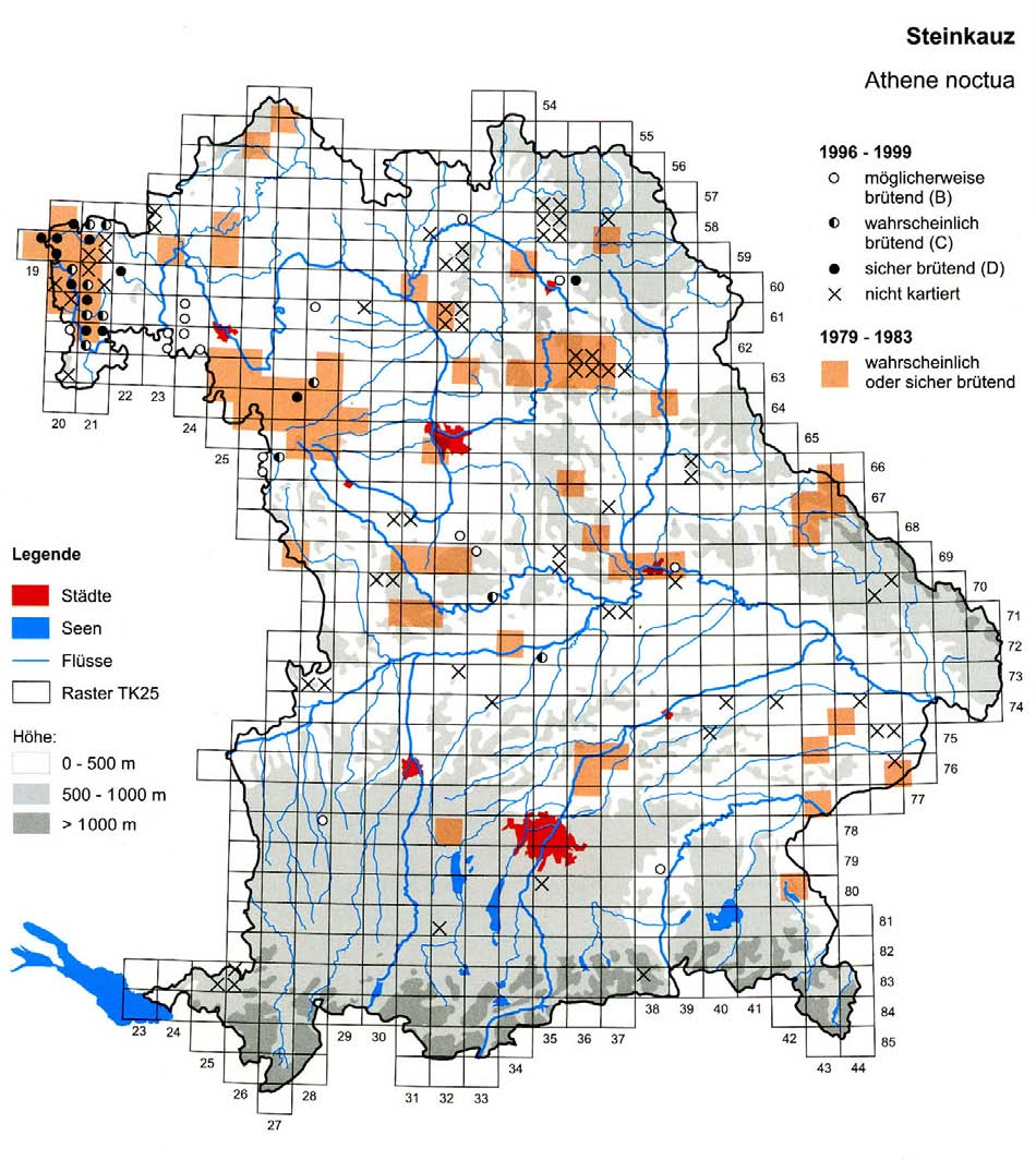 Vorkommen und Verbreitung des Steinkauzes in Bayern In Bayern war der Steinkauz bis vor wenigen Jahrzehnten in Mittel- und Unterfranken weit verbreitet und brütete selbst in Ost- und Südbayern