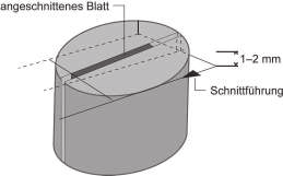 Nutzt die Pinzette, um den Spalt im Korken etwas zu verbreitern, und steckt dann das Blatt in den Spalt. 3. Zie die Pinzette aus dem Spalt und prüft, ob das Blatt fest im Korken sitzt. 4.