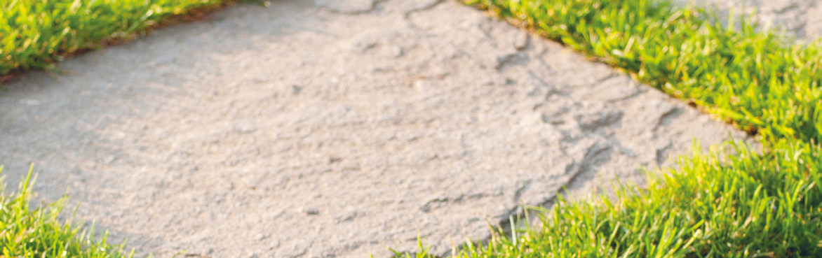 Zielpublikum und Zulassung Das Angebot richtet sich an Fachkräfte aus dem Gartenbau mit einer abgeschlos senen Berufslehre Fachrichtung Gartenund Landschaftsbau sowie an Landschaftsbauzeichnerinnen,